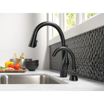 Delta Transitional Matte Black Finish Transitional Beverage Faucet with Single Handle D1977BLDST