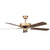 Concord Fans 42" California Home Energy Saver Antique Brass Small Ceiling Fan