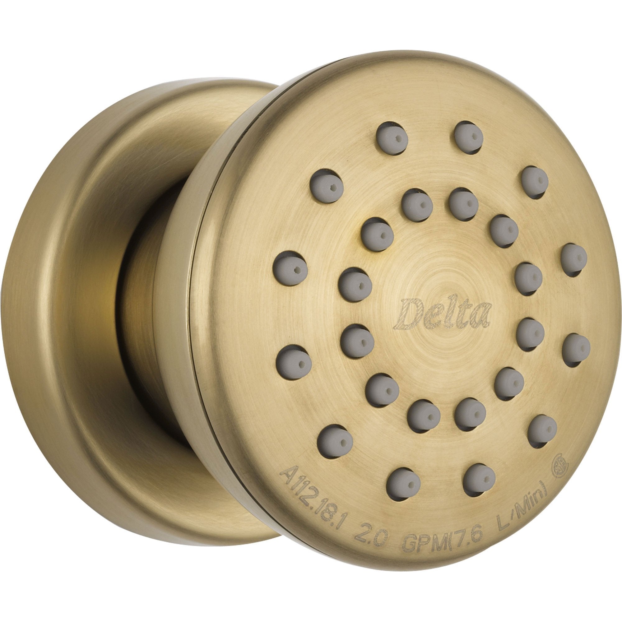 Delta Classic Champagne Bronze Shower Body Spray Jet 525056