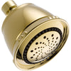 Delta 5-Setting Touch-Clean Shower Head in Polished Brass 561158