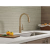 Delta Trinsic Champagne Bronze Finish Single Handle Pull-Down Kitchen Limited Swivel D9159CZLSDST