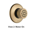 Delta Champagne Bronze Finish HydraChoice Touch Clean Round Shower System Body Spray COMPLETE Includes Valve, Trim, and Spray D1382V