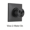 Delta Modern Matte Black Finish HydraChoice Wall Mount Body Spray Includes Valve, Square Trim, and Massaging Spray Head D3646V