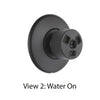 Delta Modern Matte Black Finish HydraChoice Wall Mount Body Spray Includes Valve, Round Trim, and Massaging Spray Head D3650V