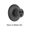 Delta Modern Matte Black Finish HydraChoice Wall Mount Body Spray Includes Valve, Round Trim, and Soothing Spray Head D3652V