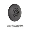 Delta Modern Matte Black Finish HydraChoice Wall Mount Body Spray Includes Valve, Round Trim, and Full Body Spray Head D3653V