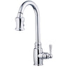 Danze Opulence Chrome Traditional Gooseneck Pull-Down Spray Kitchen Faucet