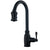 Danze Opulence Satin Black Traditional Gooseneck Pull-Down Spray Kitchen Faucet