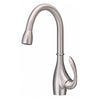 Danze Bellefleur Stainless Steel Single Handle Pull-Down Spray Kitchen Faucet