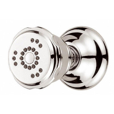 Danze Polished Nickel Traditional 2 Function Swivel Wall Mount Shower Body Spray