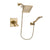 Delta Dryden Champagne Bronze Shower Faucet System with Hand Shower DSP3850V