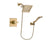 Delta Dryden Champagne Bronze Shower Faucet System with Hand Shower DSP3854V