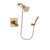 Delta Dryden Champagne Bronze Shower Faucet System with Hand Shower DSP3882V