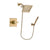 Delta Dryden Champagne Bronze Shower Faucet System with Hand Shower DSP3890V