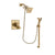 Delta Dryden Champagne Bronze Shower Faucet System with Hand Shower DSP3990V