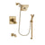 Delta Dryden Champagne Bronze Finish Dual Control Tub and Shower Faucet System Package with Square Shower Head and Modern Handheld Shower with Square Slide Bar Includes Rough-in Valve and Tub Spout DSP4013V