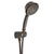 Danze Surge 5-Spray Handshower with Hose in Tumbled Bronze 634442