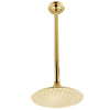 Polished Brass Large 8" Rain drop Shower Head with Shower arm K236K22