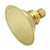 Kingston Brass Showerheads Polished Brass 4-7/8" Shower Head P10PB