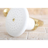 Kingston Brass Showerheads Polished Brass 5-1/4" Ceramic Shower Head P50PB