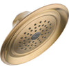 Delta Innovations 1-Setting Champagne Bronze 2.5 GPM Raincan Showerhead 573014