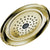 Delta Innovations 1-Setting Polished Brass 2.5 GPM Raincan Showerhead 476335