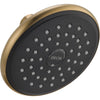 Delta 1-Spray 5 inch Raincan Showerhead in Champagne Bronze 563324