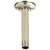 Delta Polished Nickel Finish 6" Ceiling Mount Shower Arm and Flange DRP61058PN