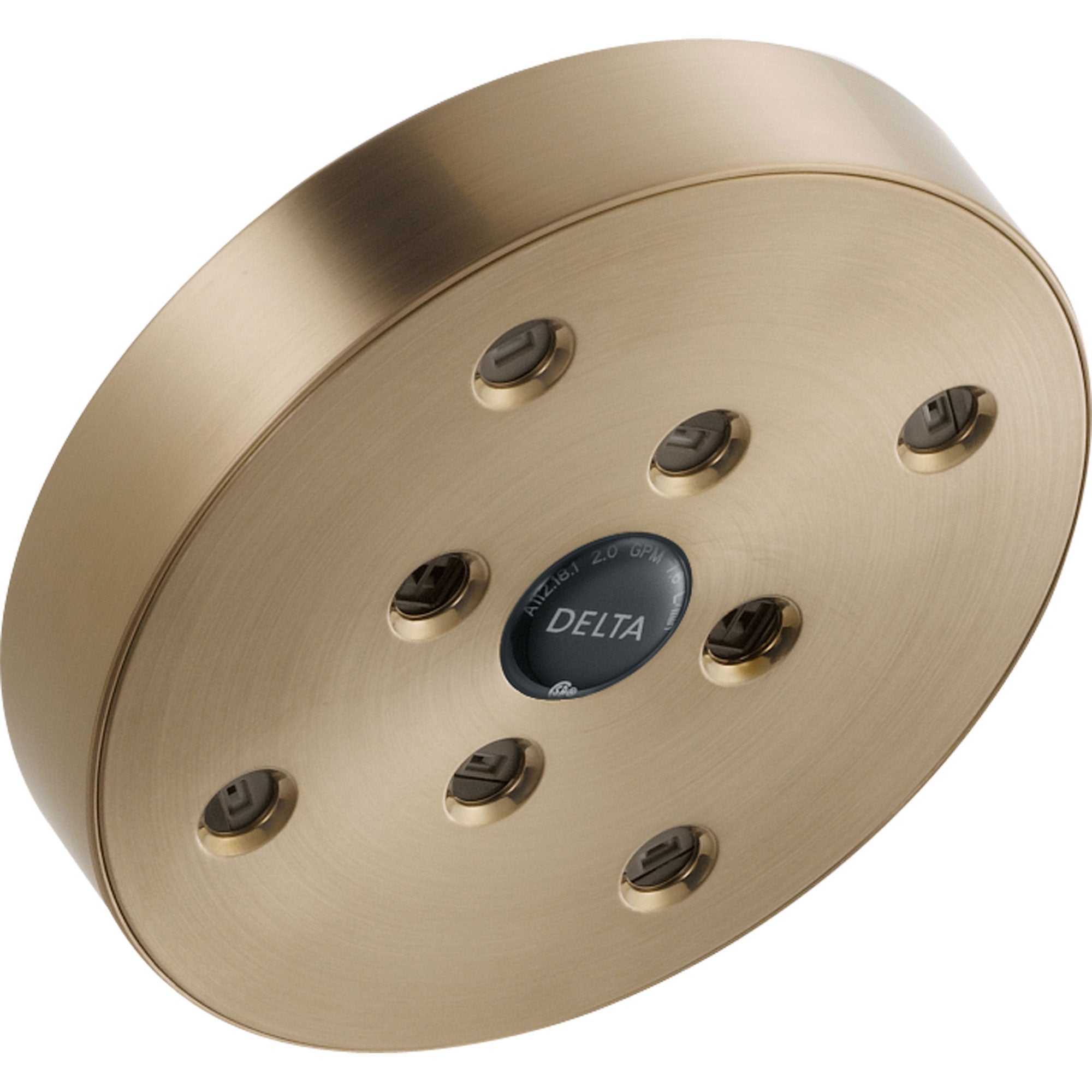 Delta 1-Spray Champagne Bronze 5-1/2 in. H2Okinetic Showerhead 586282