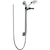 Delta Chrome 2-Spray Grab Bar with Hand Held Shower Head Sprayer 308721