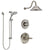 Delta Victorian Stainless Steel Finish Shower System with Temp2O Control, 3-Setting Diverter, Showerhead, and Hand Shower with Slidebar SS14001SS4