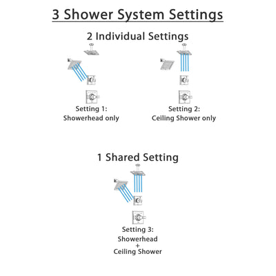 Delta Dryden Polished Nickel Finish Shower System with Control Handle, 3-Setting Diverter, Showerhead, and Ceiling Mount Showerhead SS142511PN4