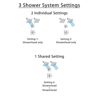 Delta Dryden Polished Nickel Finish Shower System with Control Handle, 3-Setting Diverter, 2 Showerheads SS142511PN5