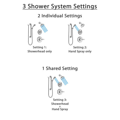 Delta Victorian Chrome Finish Shower System with Control Handle, 3-Setting Diverter, Showerhead, and Hand Shower with Grab Bar SS142553