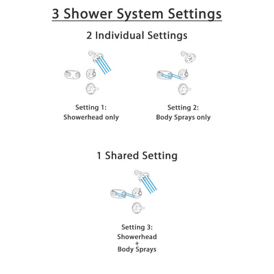 Delta Lahara Venetian Bronze Shower System with Normal Shower Handle, 3-setting Diverter, Modern Round Shower Head, and Dual Spray Shower Plate SS143884RB