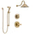 Delta Lahara Champagne Bronze Finish Shower System with Control Handle, 3-Setting Diverter, Showerhead, and Hand Shower with Slidebar SS1438CZ1