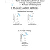 Delta Trinsic Stainless Steel Finish Tub and Shower System with Control Handle, Diverter, Showerhead, and Hand Shower with Grab Bar SS14459SS3