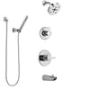 Delta Compel Chrome Finish Tub and Shower System with Control Handle, 3-Setting Diverter, Showerhead, and Hand Shower with Wall Bracket SS144616