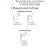 Delta Compel Stainless Steel Finish Tub and Shower System with Control Handle, Diverter, Showerhead, and Hand Shower with Grab Bar SS14461SS3