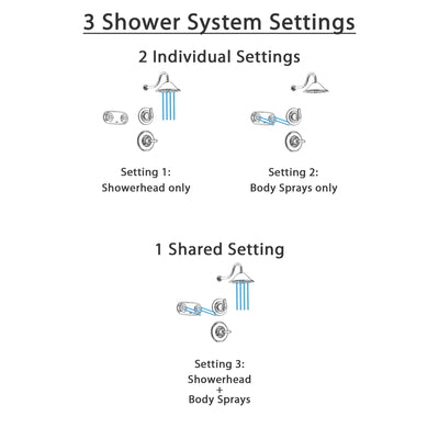 Delta Linden Chrome Shower System with Normal Shower Handle, 3-setting Diverter, Large Rain Showerhead, and Dual Body Spray Shower Plate SS149484