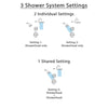 Delta Linden Stainless Steel Shower System with Normal Shower Handle, 3-setting Diverter, Large Rain Showerhead, and Smaller Wall Mount Showerhead SS149485SS