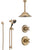 Delta Cassidy Champagne Bronze Shower System with Control Handle, Diverter, Ceiling Mount Showerhead, and Hand Shower with Slidebar SS14971CZ1