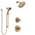 Delta Cassidy Champagne Bronze Finish Shower System with Control Handle, 3-Setting Diverter, Showerhead, and Hand Shower with Slidebar SS14971CZ5