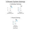 Delta Zura Chrome Finish Shower System with Dual Control Handle, 3-Setting Diverter, Showerhead, and 3 Body Sprays SS172742