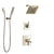 Delta Zura Polished Nickel Finish Shower System with Dual Control Handle, 3-Setting Diverter, Showerhead, and Hand Shower with Wall Bracket SS17274PN2