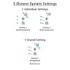 Delta Cassidy Chrome Finish Shower System with Dual Control Handle, 3-Setting Diverter, Showerhead, and 3 Body Sprays SS172972