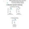 Delta Dryden Polished Nickel Tub and Shower System with Dual Control Handle, 3-Setting Diverter, Showerhead, and Hand Shower with Slidebar SS17451PN3