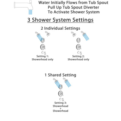 Delta Victorian Stainless Steel Finish Tub and Shower System with Dual Control Handle, 3-Setting Diverter, 2 Showerheads SS17455SS5