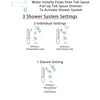 Delta Ara Stainless Steel Finish Tub and Shower System with Dual Control Handle, Diverter, Showerhead, and Hand Shower with Grab Bar SS17467SS3