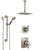 Delta Tesla Stainless Steel Finish Shower System with Dual Control Handle, Diverter, Ceiling Mount Showerhead, and Hand Shower with Grab Bar SS1752SS1